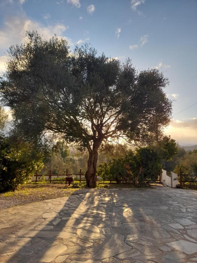 Agriturismo Palas De Serra Country Resort Onifai Екстер'єр фото