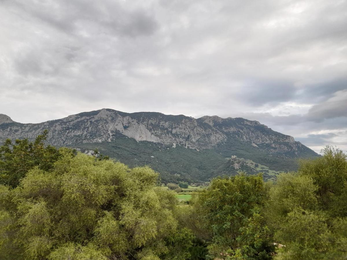 Agriturismo Palas De Serra Country Resort Onifai Екстер'єр фото