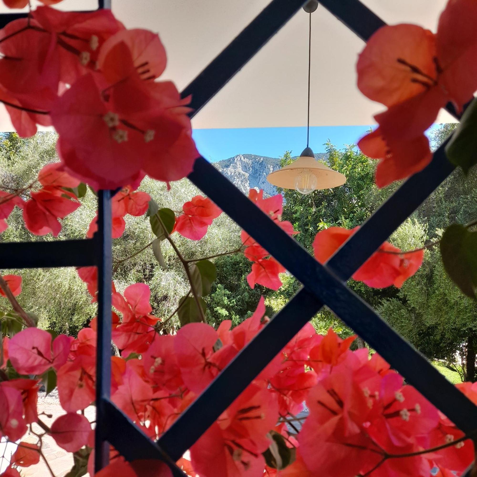 Agriturismo Palas De Serra Country Resort Onifai Екстер'єр фото